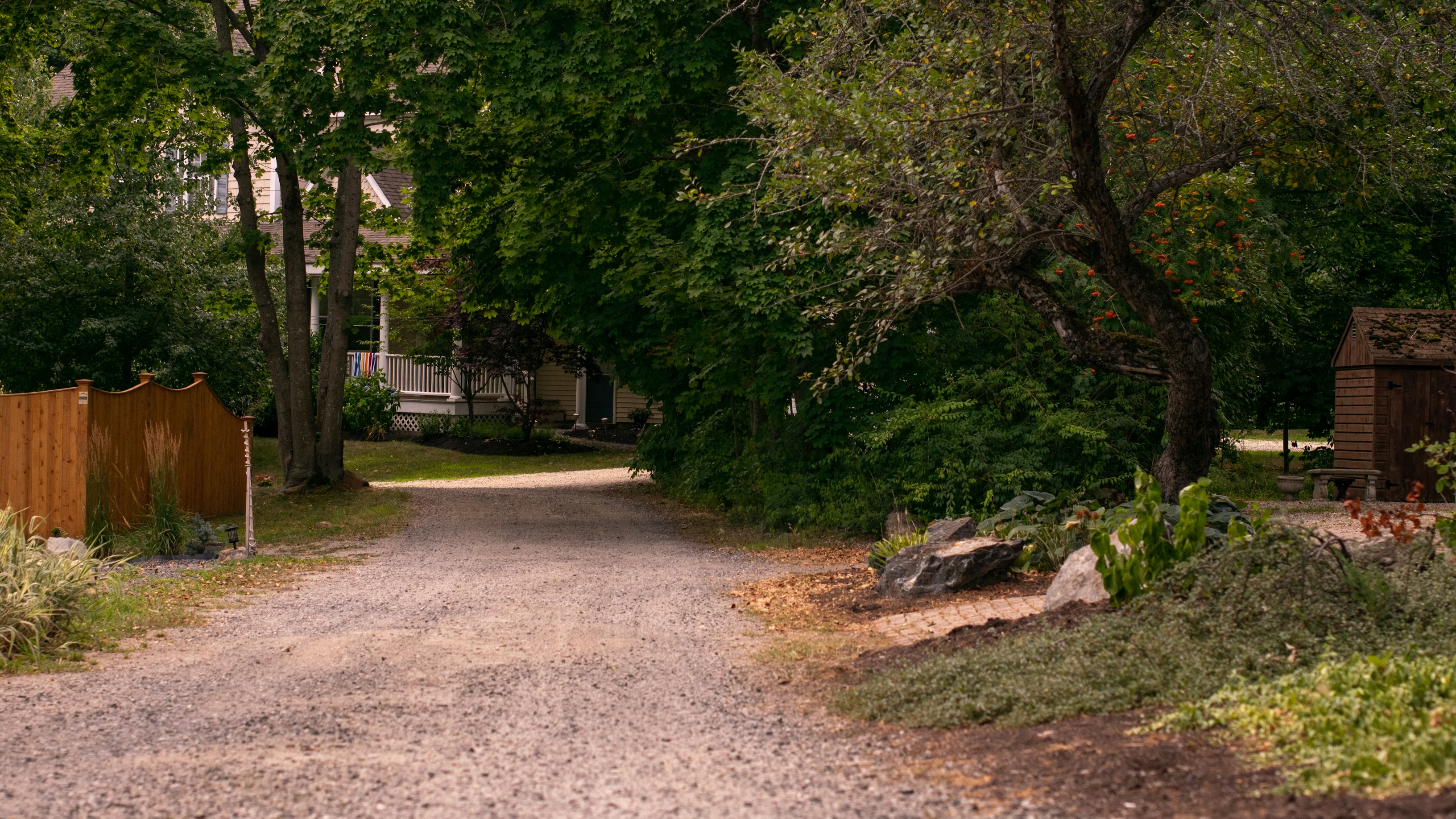 Gravel access road leading through hardwood forest in the Blue Ridge foothills